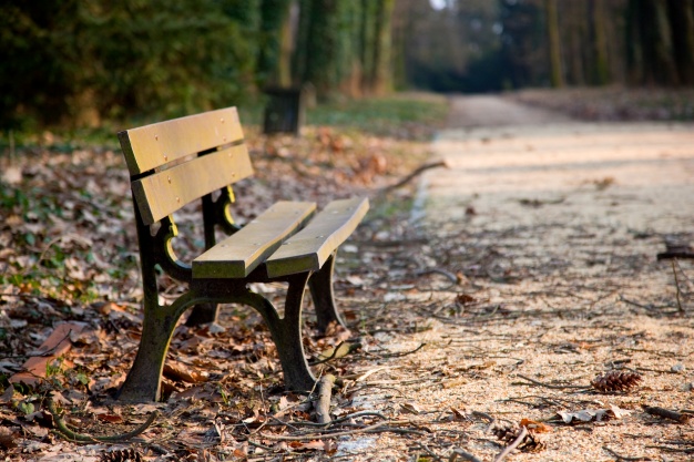 Support benches for Beacon park in Irondale, AL