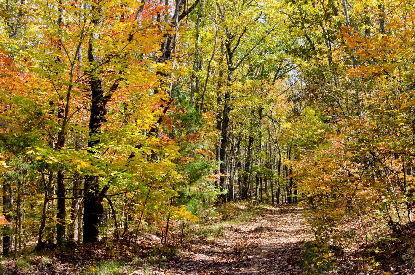 A nature trail Melissa Hanes © 123rf