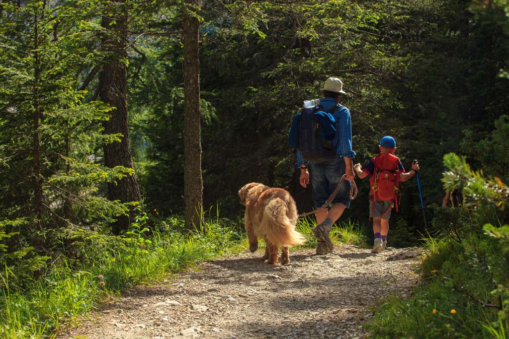 Family on a hike